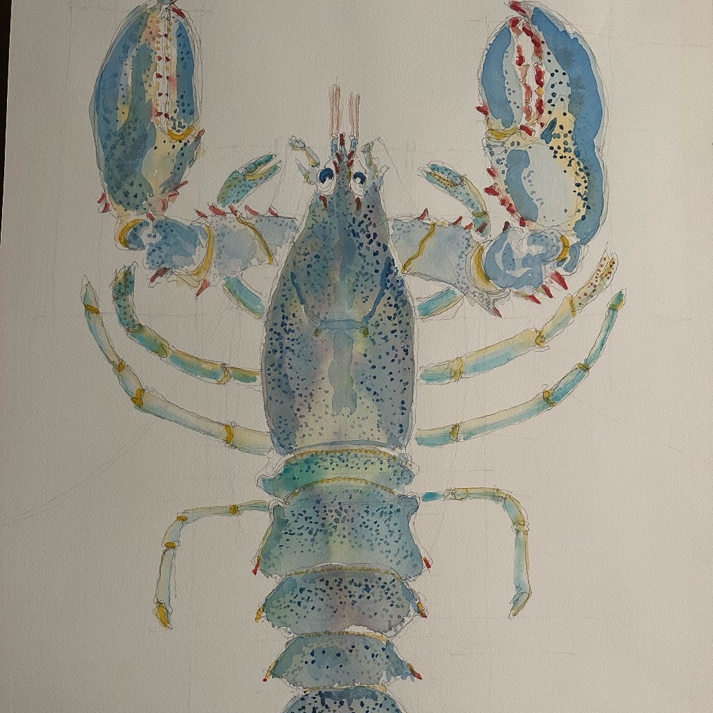Blue Lobster Water Color by Ted Musho